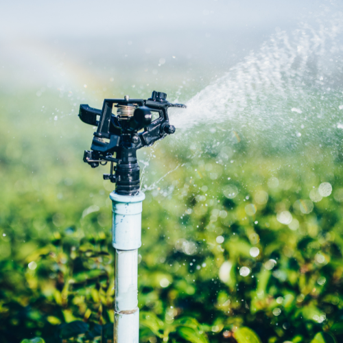 Irrigation Services