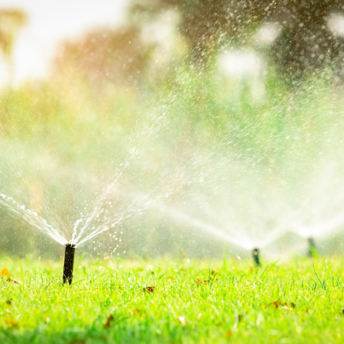 Irrigation Services